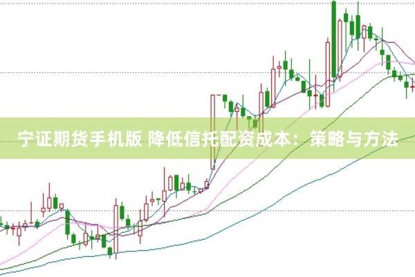 宁证期货手机版 降低信托配资成本：策略与方法