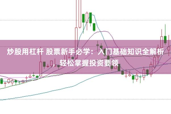 炒股用杠杆 股票新手必学：入门基础知识全解析，轻松掌握投资要领