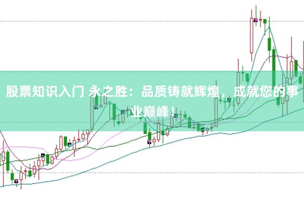 股票知识入门 永之胜：品质铸就辉煌，成就您的事业巅峰！