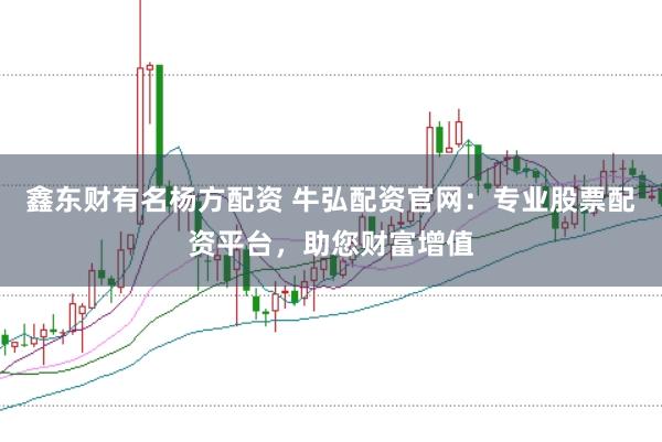 鑫东财有名杨方配资 牛弘配资官网：专业股票配资平台，助您财富增值