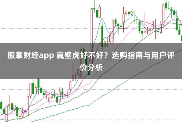股掌财经app 赢壁虎好不好？选购指南与用户评价分析