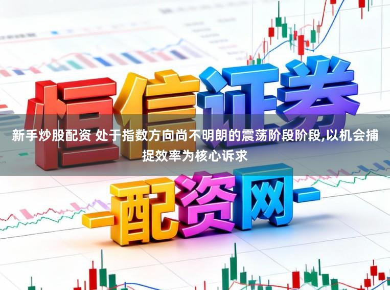 新手炒股配资 处于指数方向尚不明朗的震荡阶段阶段，以机会捕捉效率为核心诉求