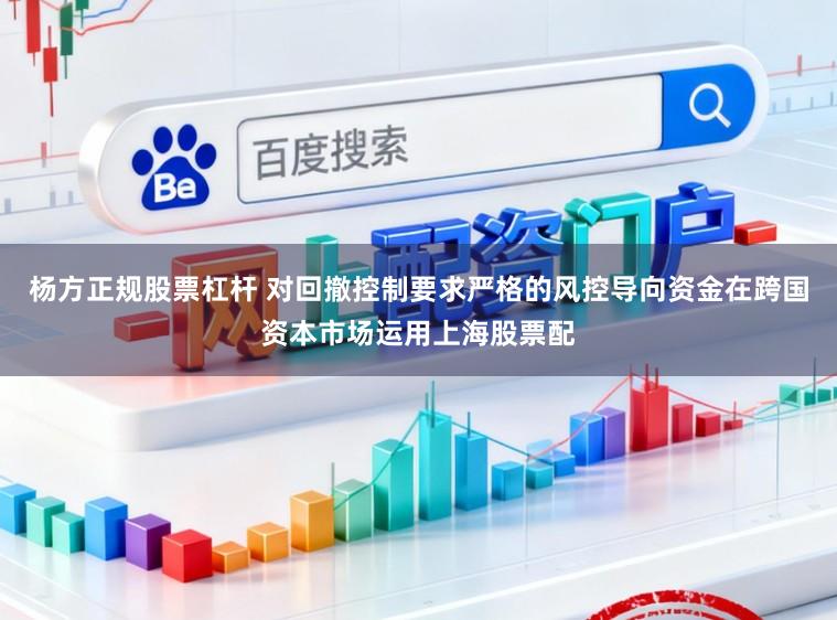 杨方正规股票杠杆 对回撤控制要求严格的风控导向资金在跨国资本市场运用上海股票配