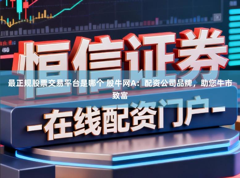 最正规股票交易平台是哪个 股牛网A：配资公司品牌，助您牛市致富